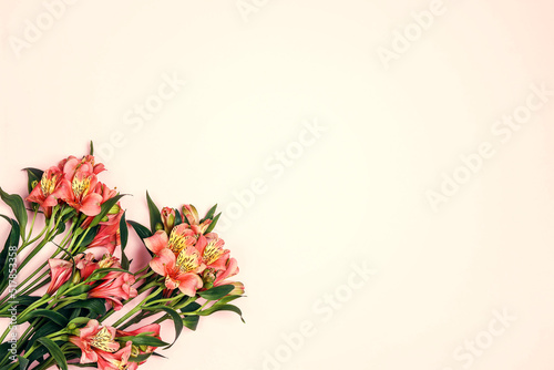 Bouquet of alstroemeria flowers on a pink background. Flower greeting card © WindyNight