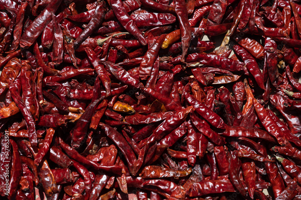 Fototapeta premium Sun-dried chillies . Dried red chilies or cayenne peppers on a bamboo tray. Dried chilies are one of the staple ingredients in Asian cuisine.