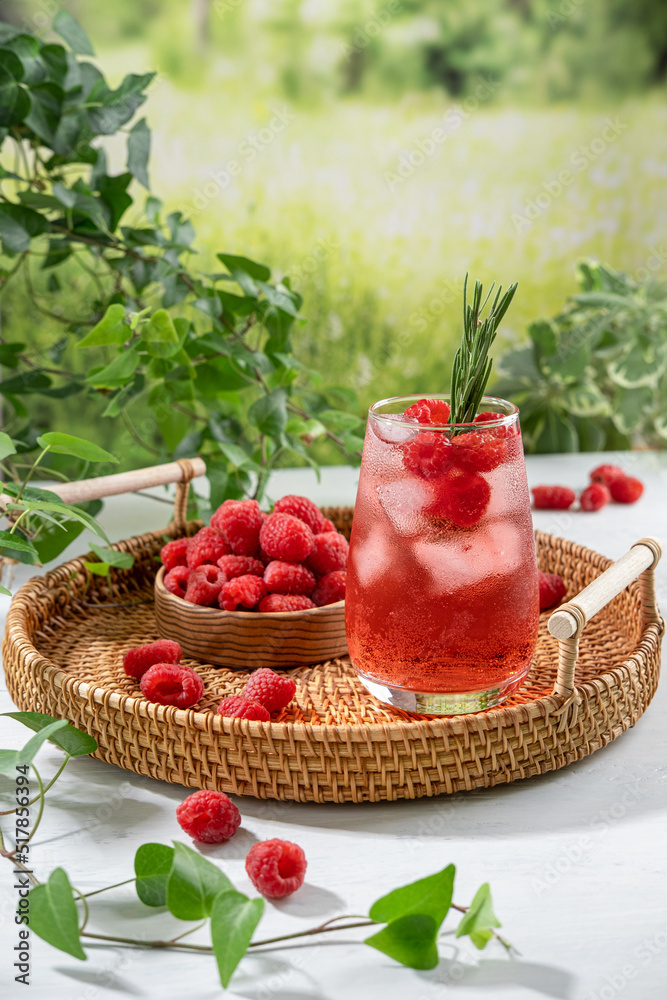 Summer refreshing non-alcoholic cocktails. Raspberry lemonade garnished with fresh rosemary. Summer raspberry beverage with sparkling water. Copy space. Summer refreshing non-alcoholic cocktails. Raspberry lemonade garnished with fresh rosemary. Summer raspberry beverage with sparkling water. Copy space.