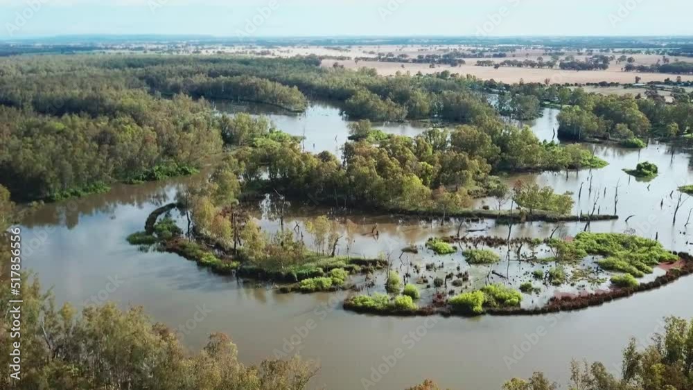 Drone view of the swollen Murray River and forests upstream of Lake Mulwala, Australia. November 2021. Drone view of the swollen Murray River and forests upstream of Lake Mulwala, Australia. November 2021.