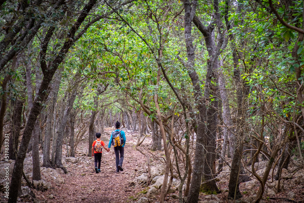 camino de la Fita del Ram, Esporles, Paraje natural de la Serra de Tramuntana, Mallorca, balearic islands, Spain