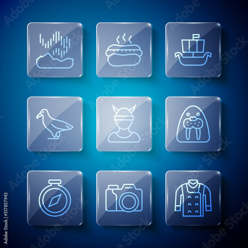 Set line Compass, Photo camera, Sweater, Viking ship Drakkar, head, Albatross, Northern lights and Walrus animal icon. Vector