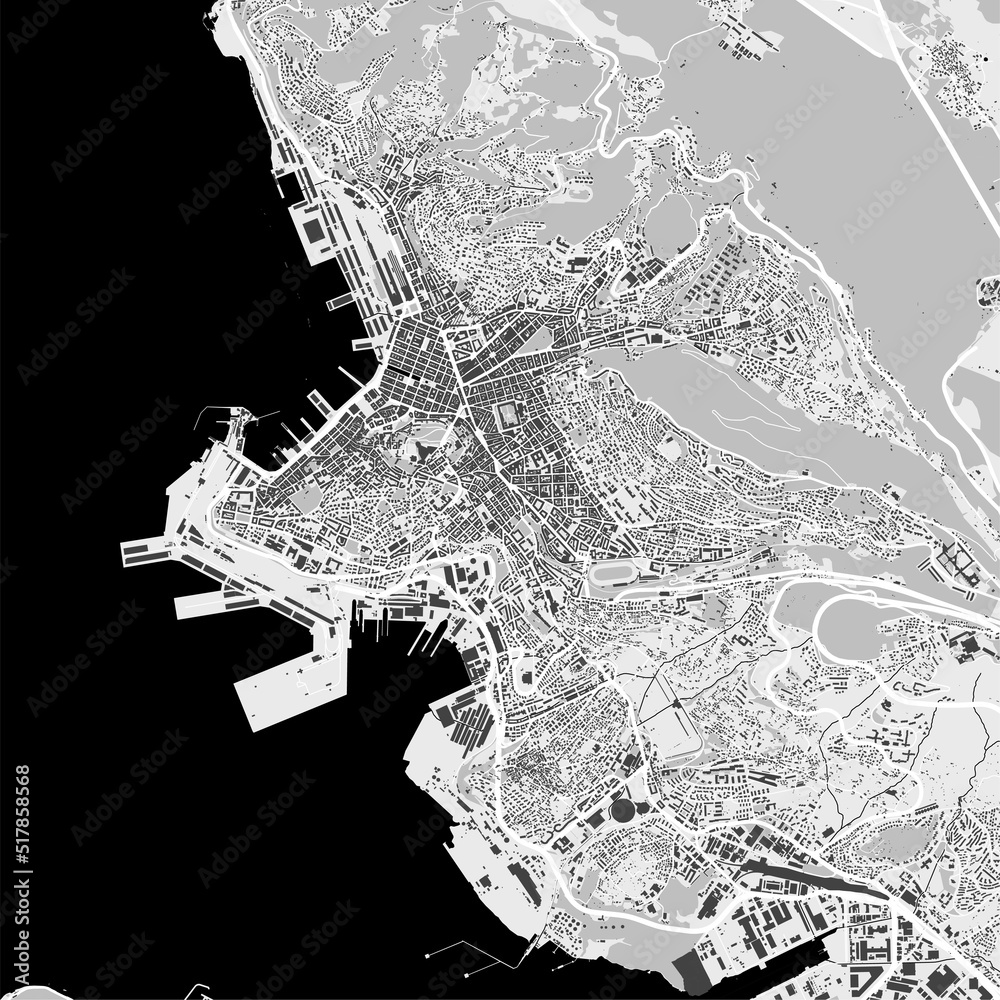 Urban city map of Trieste. Vector poster. Black grayscale black and white street map.