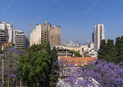 Sursock Palace garden with Jacaranda trees, Beirut Governorate, Beirut, Lebanon photo