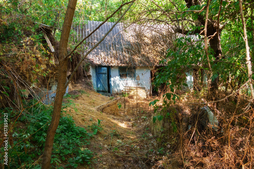 an abandoned old house in a thicket of trees and shrubs, outbuildings, an old village without people