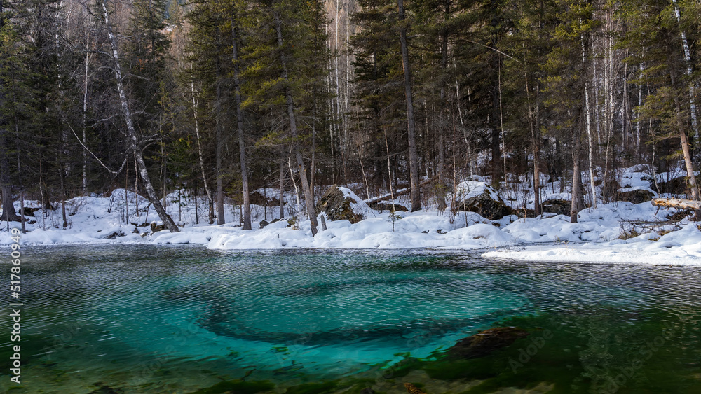 Amazing ice-free Geyser lake. Circular streaks of blue clay on the bottom are visible through the clear water. Trees and boulders on the snowy shore. Altai Amazing ice-free Geyser lake. Circular streaks of blue clay on the bottom are visible through the clear water. Trees and boulders on the snowy shore. Altai