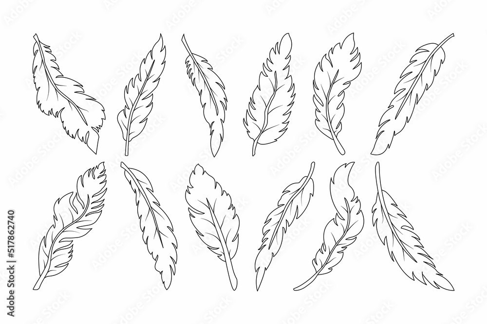 Set of various hand drawn feathers, abstract feather shape for design. Doodle feather symbol. Isolated on white background.
