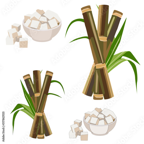 Vector bamboo cane stalks twigs sticks leaves green white sugar in bowl on white background