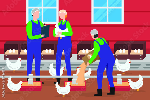 Farmers check the chickens and refill food in the chicken farm