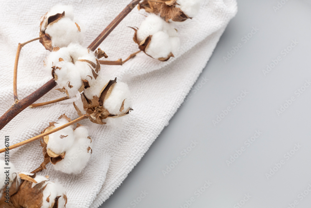 Fototapeta premium White terry towel and a branch of cotton on a gray background