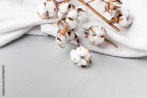 White terry towel and a branch of cotton on a gray background