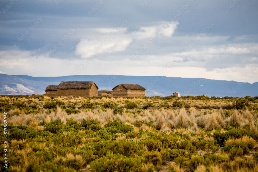 Fototapeta premium Landscape of Bolivia, prairie and mountains. Nature of Altiplano, South America