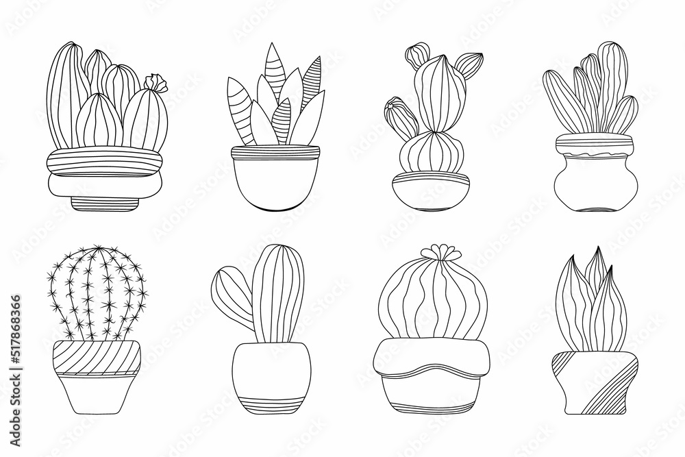 Cactus collection. Set of various indoor cacti in pots. Isolated on a white background Cactus collection. Set of various indoor cacti in pots. Isolated on a white background