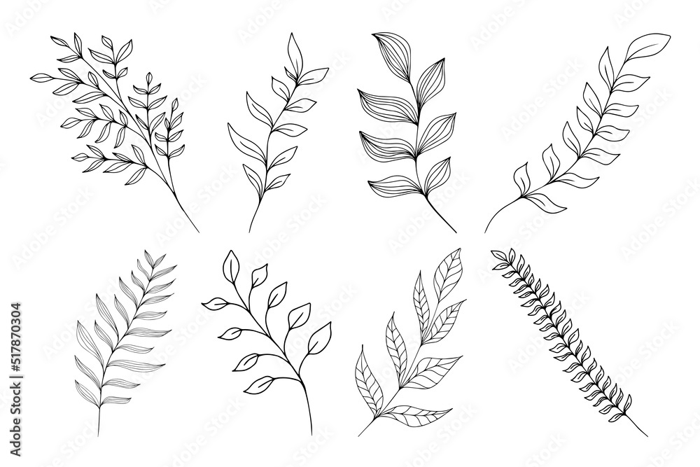 Set of hand drawn Stems with Leaves. Isolated black on white elements for design