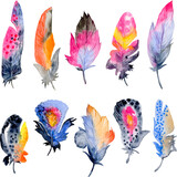 Bird feather element set. Hand drawn watercolor illustration.