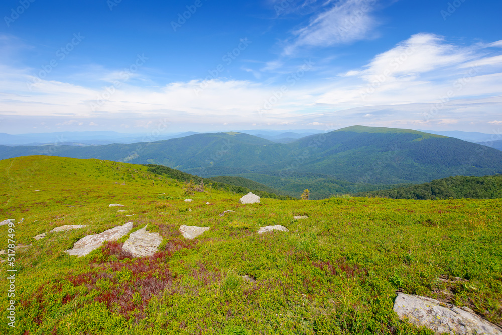 carpathian mountain landscape in summer. view in to the distant valley. grassy meadows and forested hills. sunny weather at high noon carpathian mountain landscape in summer. view in to the distant valley. grassy meadows and forested hills. sunny weather at high noon