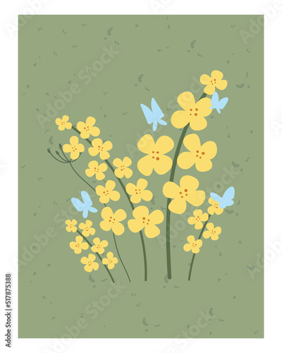 Hand drawn yellow rapeseed flower. Floral illustration for card, poster. Flat style. Vector canola buds. All elements are isolated on a white background.