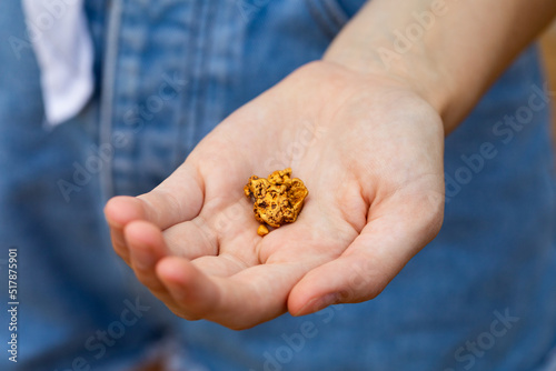 several small gold nuggets held in the hands of a girl photo
