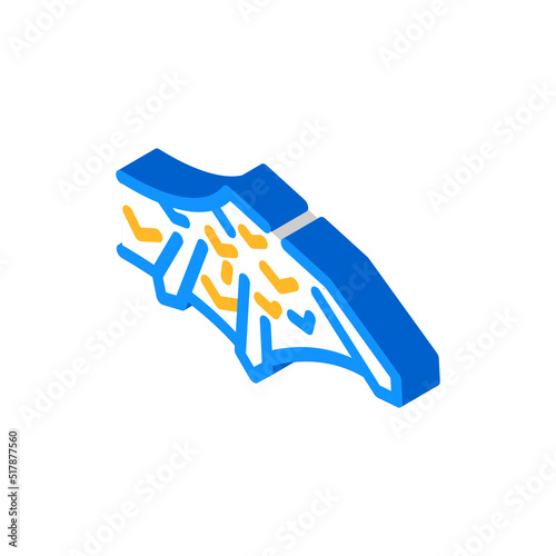 iron stone wing isometric icon vector. iron stone wing sign. isolated symbol illustration