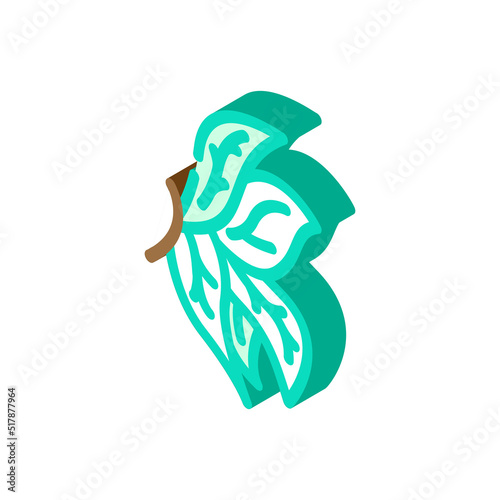 leaf wing isometric icon vector. leaf wing sign. isolated symbol illustration