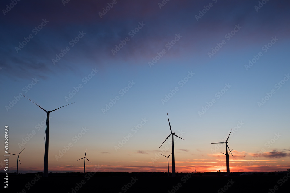 Obraz premium Wind farm in agricultural landscape, sunset wind turbines producing electricity, wind energy is renewable energy, clean, renewable energy source, wind turbines against the setting sun