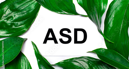 Against the background of green natural leaves, a white card with the text ASD Autism Spectrum Disorder
