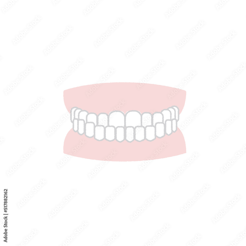 Obraz premium 歯並び イラスト 反対咬合