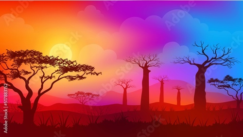 Sunset in Africa savanna landscape with Colorful gradient sky