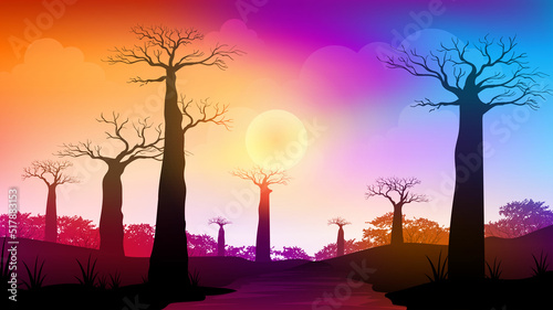 Pathway in Africa savanna with baobab trees at sunset time © Astira