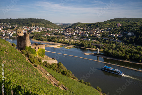 Blick auf Bingen und die Nahemündung mit Burg Ehrenfels und Burg Klopp