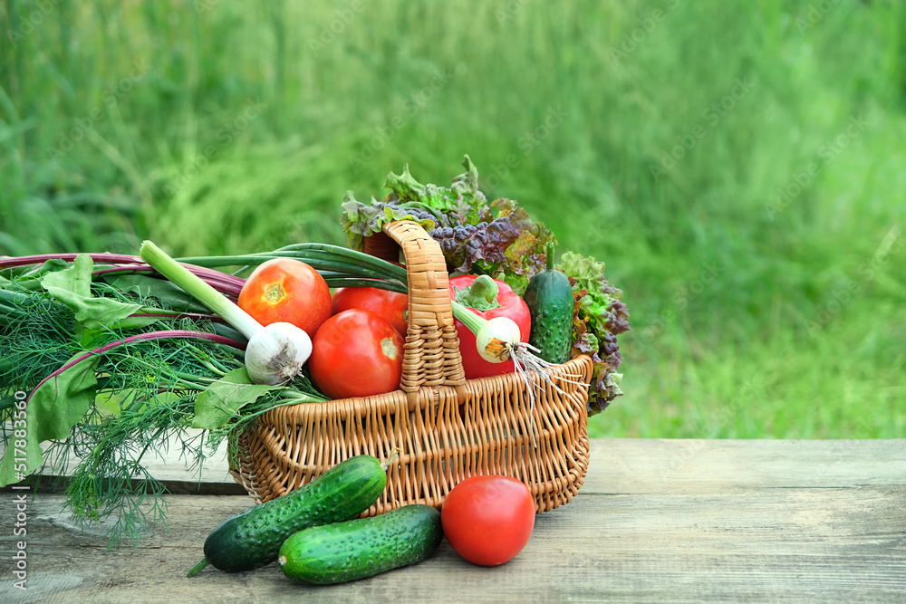 wicker basket with fresh vegetables on table in garden, natural ...