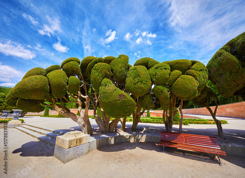 Madrid, Spain. Buen Retiro Park. Botanical garden, park with trees and bushes, landscape design. Green tree and decorative bush. Blue sky with clouds. Sunny day. © Yasonya