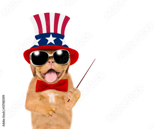 Happy Mastiff puppy wearing like Uncle Sam points away on empty space. isolated on white background