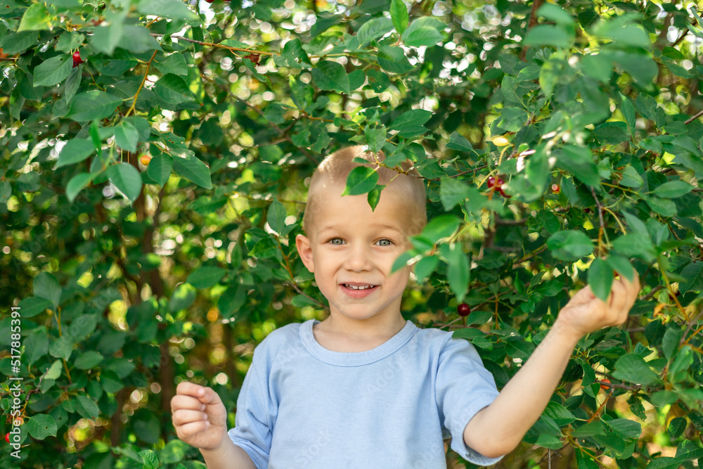 Happy smiling baby on the background of green cherry trees. Copy space Happy smiling baby on the background of green cherry trees. Copy space