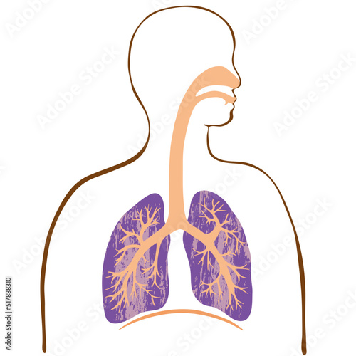 手描きテクスチャのカラフルな肺と気管支のイラストと人のシルエット 
Colorful illustration of the lungs and trachea with human silhouette.