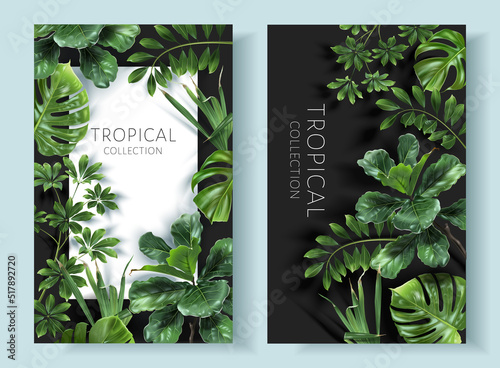 Vector tropical frames with green leaves on black background. Luxury exotic botanical design for cosmetics, wedding invitation, summer banner, spa, perfume, beauty, travel, packaging design