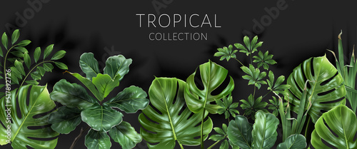 Fotografia Vector tropical banner with green leaves on black background