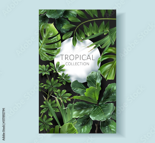 Vector tropical frame with green leaves on black background. Luxury exotic botanical design for cosmetics, wedding invitation, summer banner, spa, perfume, beauty, travel, packaging design