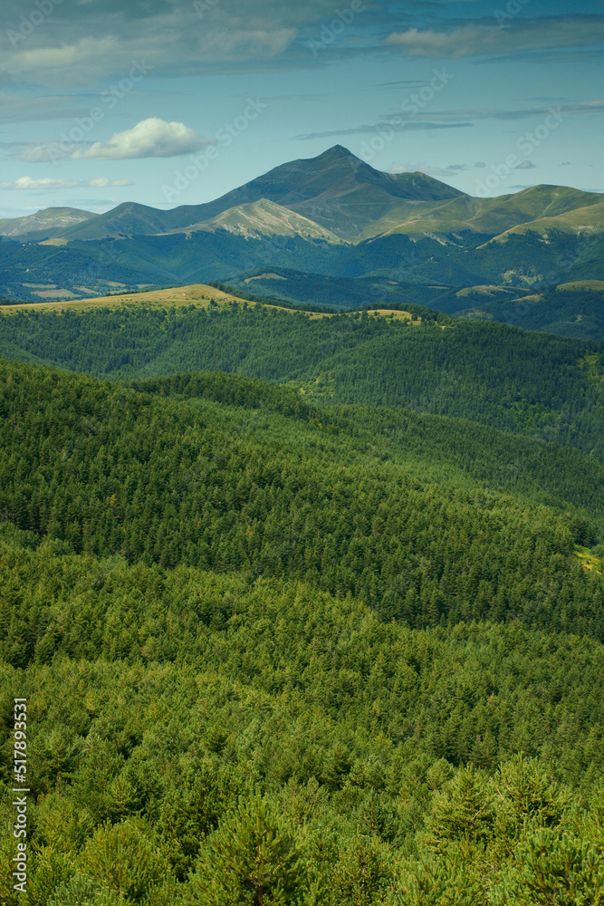 Bosques de la sierra Arbarase y monte Ori (2021m.). Gran recorrido 11.Cordillera pirenaica.Navarra.España.