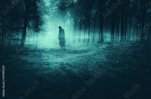 Fotografie, Obraz horror forest landscape with scary ghost