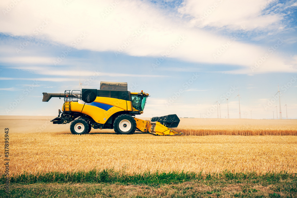 Fototapeta premium Combine Harvester Cutting Wheat, modern combine harvester working on a wheat crop. combine harvester working on a wheat field. Harvesting the wheat. Agriculture.