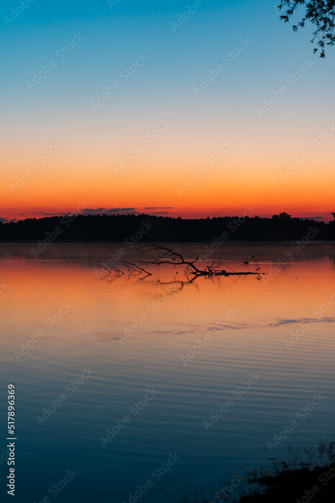 little branch lies in the lake, shot taken direct before sunrise in Rimsting (Chiemsee, Germany),