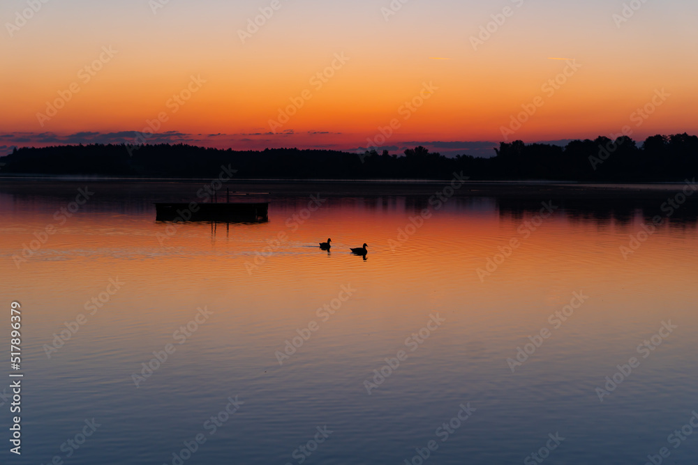 shot taken direct before sunrise in Rimsting (Chiemsee, Germany), 2 ducks swimming alone in the sunrise, in the background is a forest as a silhouette