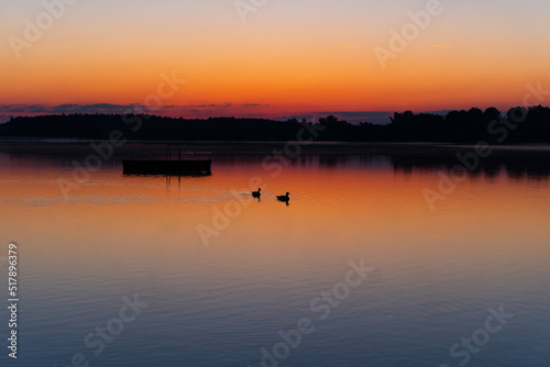 shot taken direct before sunrise in Rimsting (Chiemsee, Germany), 2 ducks swimming alone in the sunrise, in the background is a forest as a silhouette