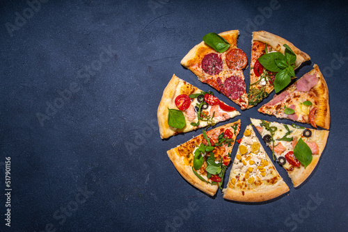 Various taste type pizza slices with different traditional filling - seafood fish salmon, Hawaiian with chicken, vegetarian vegetable margarita, meat carbonara, salami on dark grey background