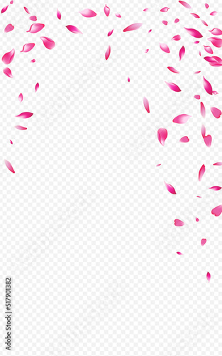 Red Rose Blur Vector Transparent Background.