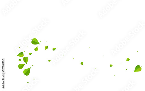 Swamp Foliage Herbal Vector White Background
