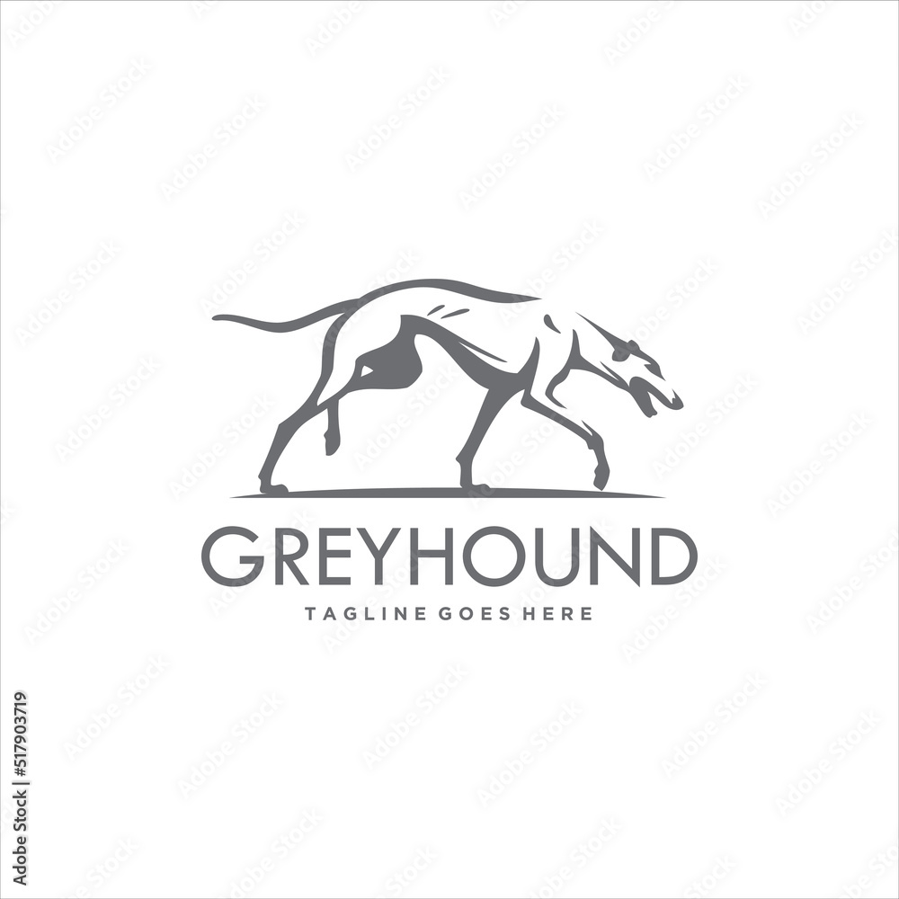 Dog Logo Design Greyhound Vector Image