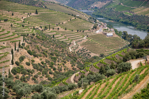 Vineyards along the Douro River, Portugal © Robert