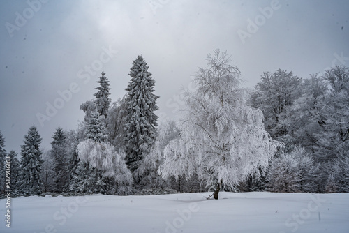 Fototapeta Naklejka Na Ścianę i Meble -  góry, beskidy, beskid, śląski, hiking, las, trees, winter, zima, śnieg, 